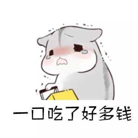 娱乐吃瓜酱当仓鼠店老板